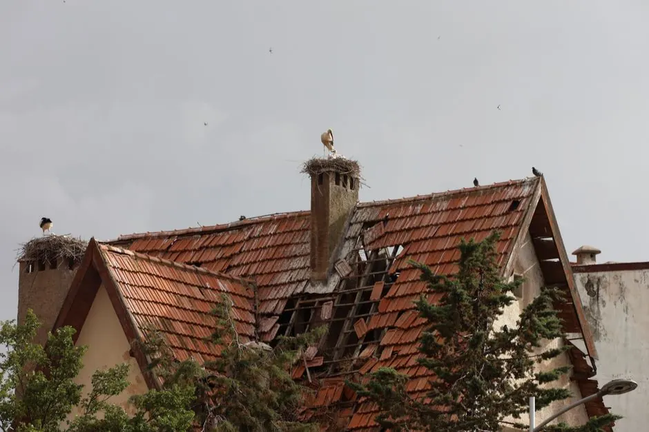 A dilapidated roof with stork nests against a cloudy sky, depicting nature's resilience.